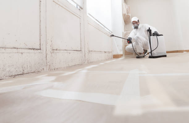 24/7 Emergency Mold Cleanup experts in Longmont, CO